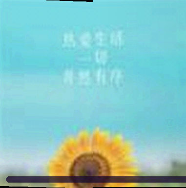周婷